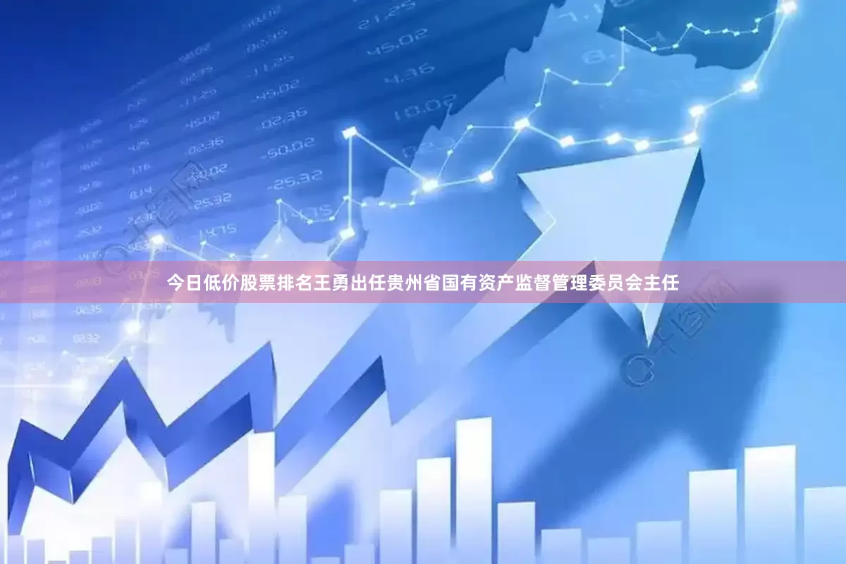 今日低价股票排名王勇出任贵州省国有资产监督管理委员会主任