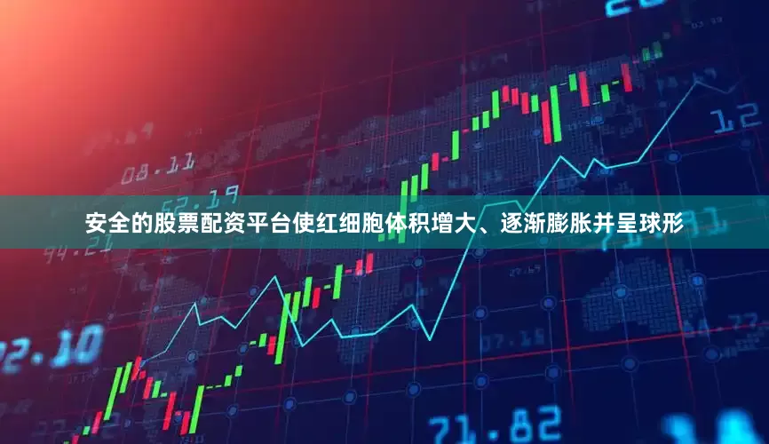 安全的股票配资平台使红细胞体积增大、逐渐膨胀并呈球形