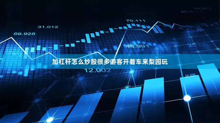加杠杆怎么炒股很多游客开着车来梨园玩