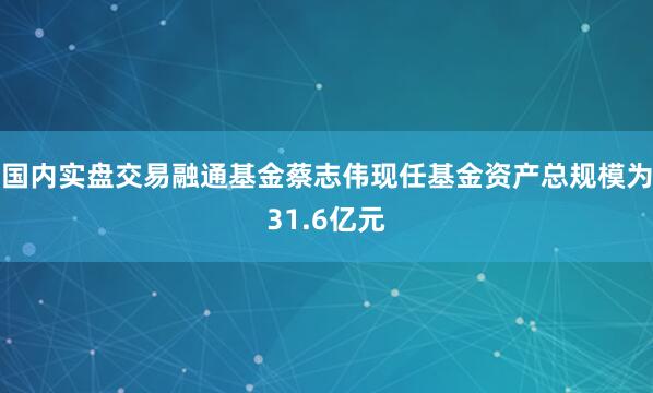 国内实盘交易融通基金蔡志伟现任基金资产总规模为31.6亿元